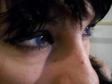 Public Photo of gattinamolesta