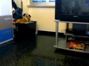 Amateur Video of Perversa_con_Classe