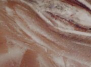 Amateur Video of Coralinabarby