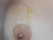 Amateur Video of WalkDreamer